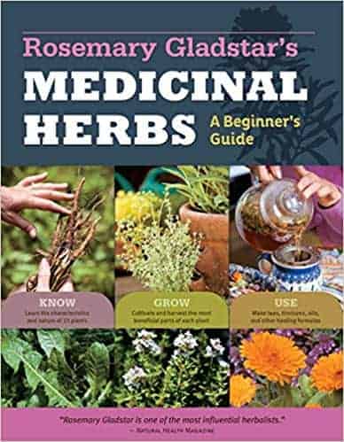 rosemarys medicinal herbs