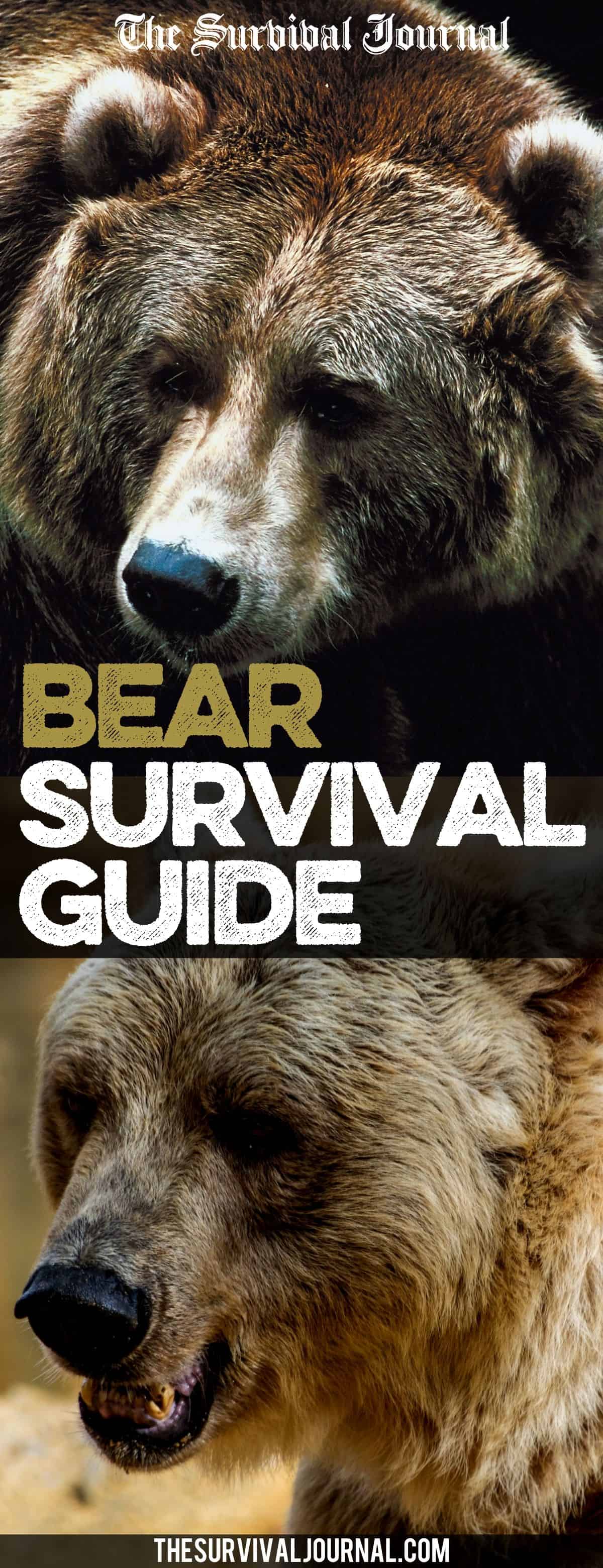 survive a bear attack