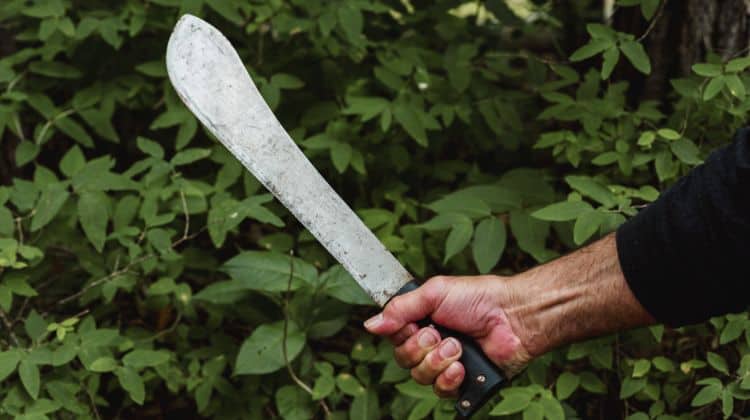 survival uses for machete