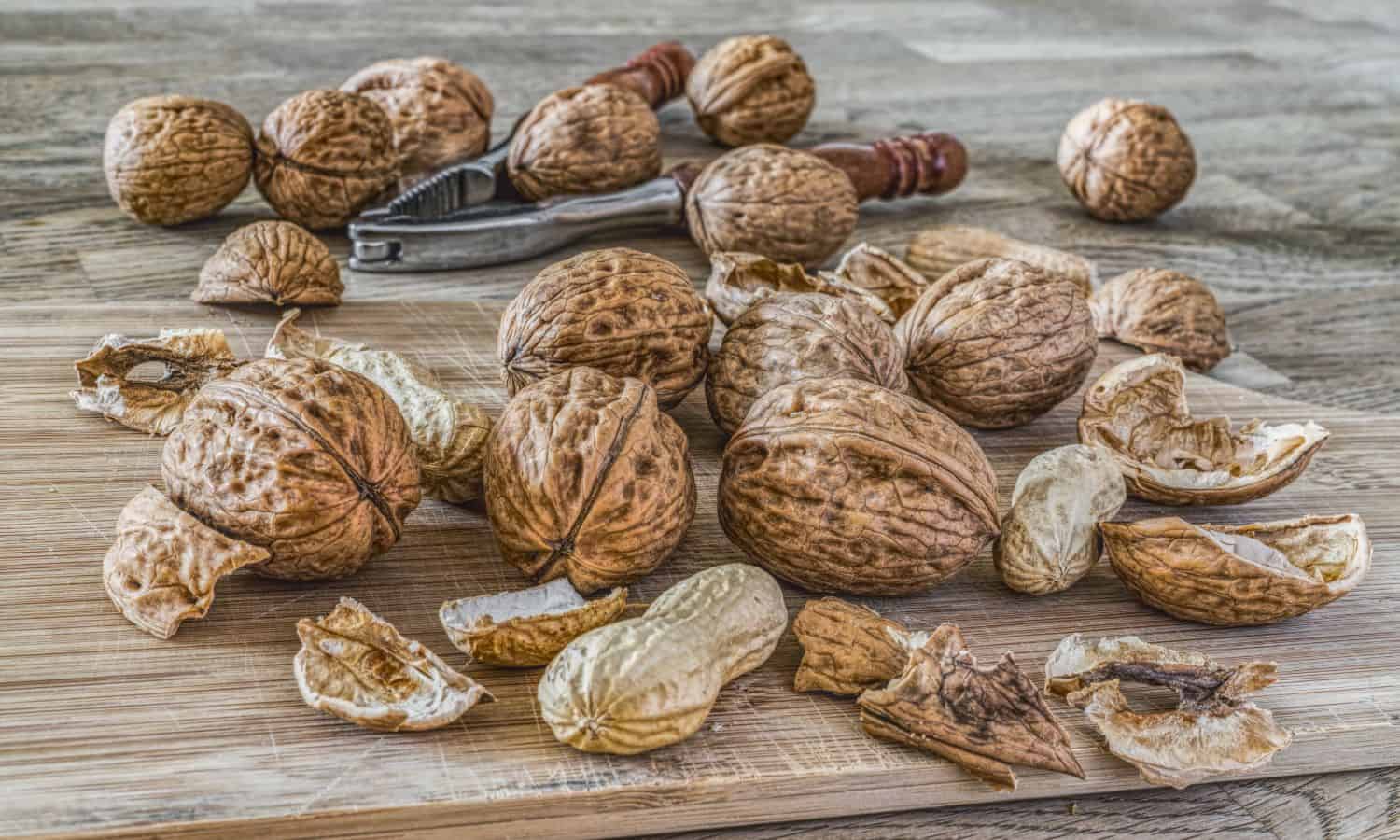 how to grow nuts