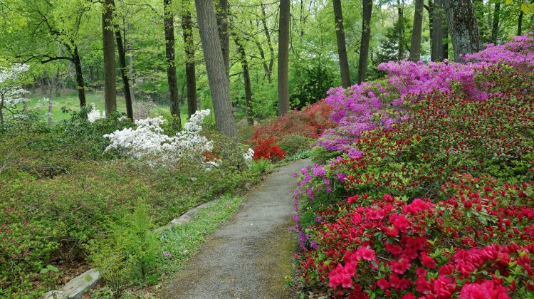 best campgrounds Pennsylvania