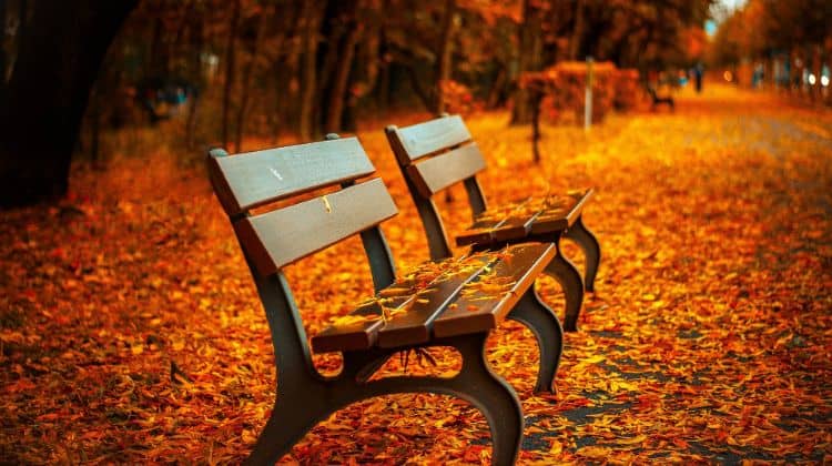 best campgrounds colorado