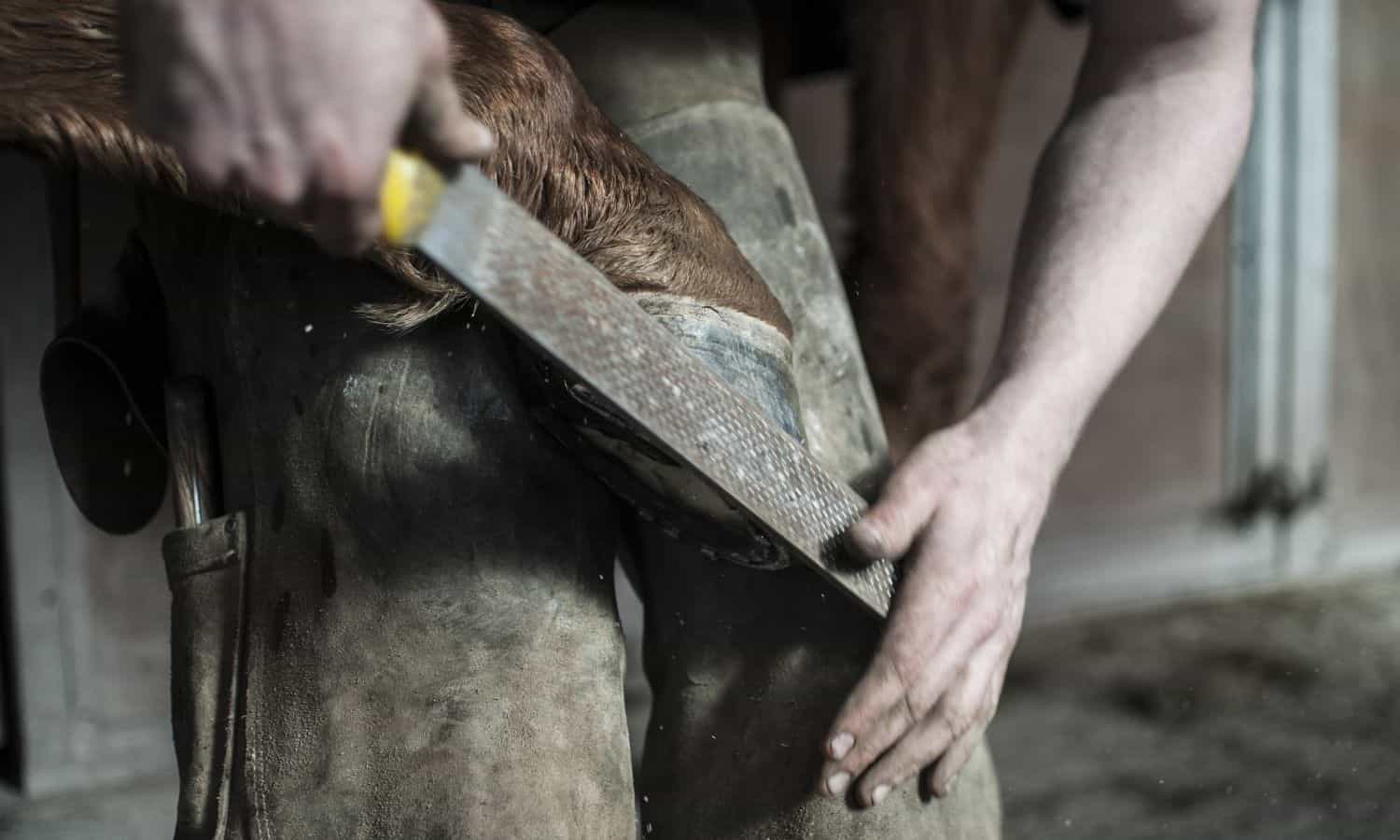 blacksmithing farrier tool