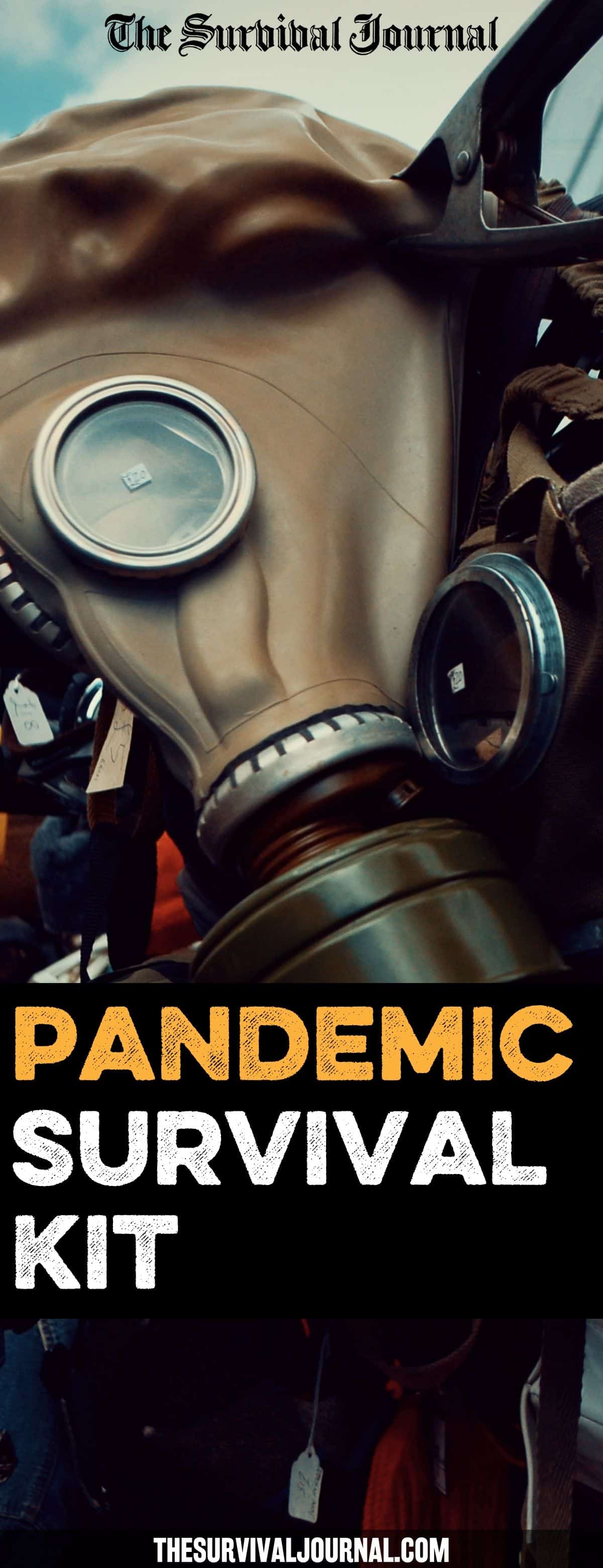 pandemic survival kit