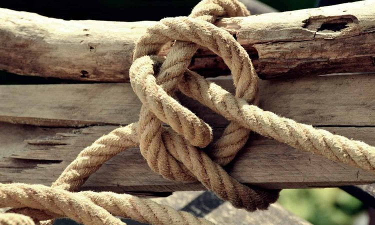 timber hitch knot