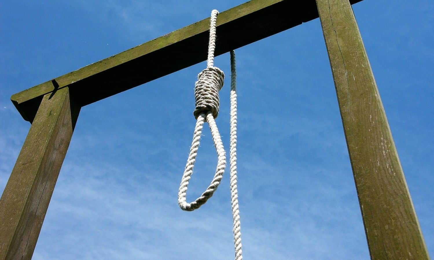 gallows noose knot